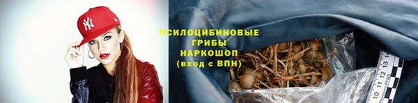 a pvp Верхний Тагил