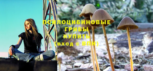 a pvp Верхний Тагил