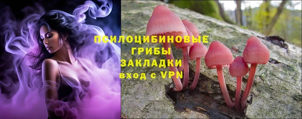 a pvp Верхний Тагил